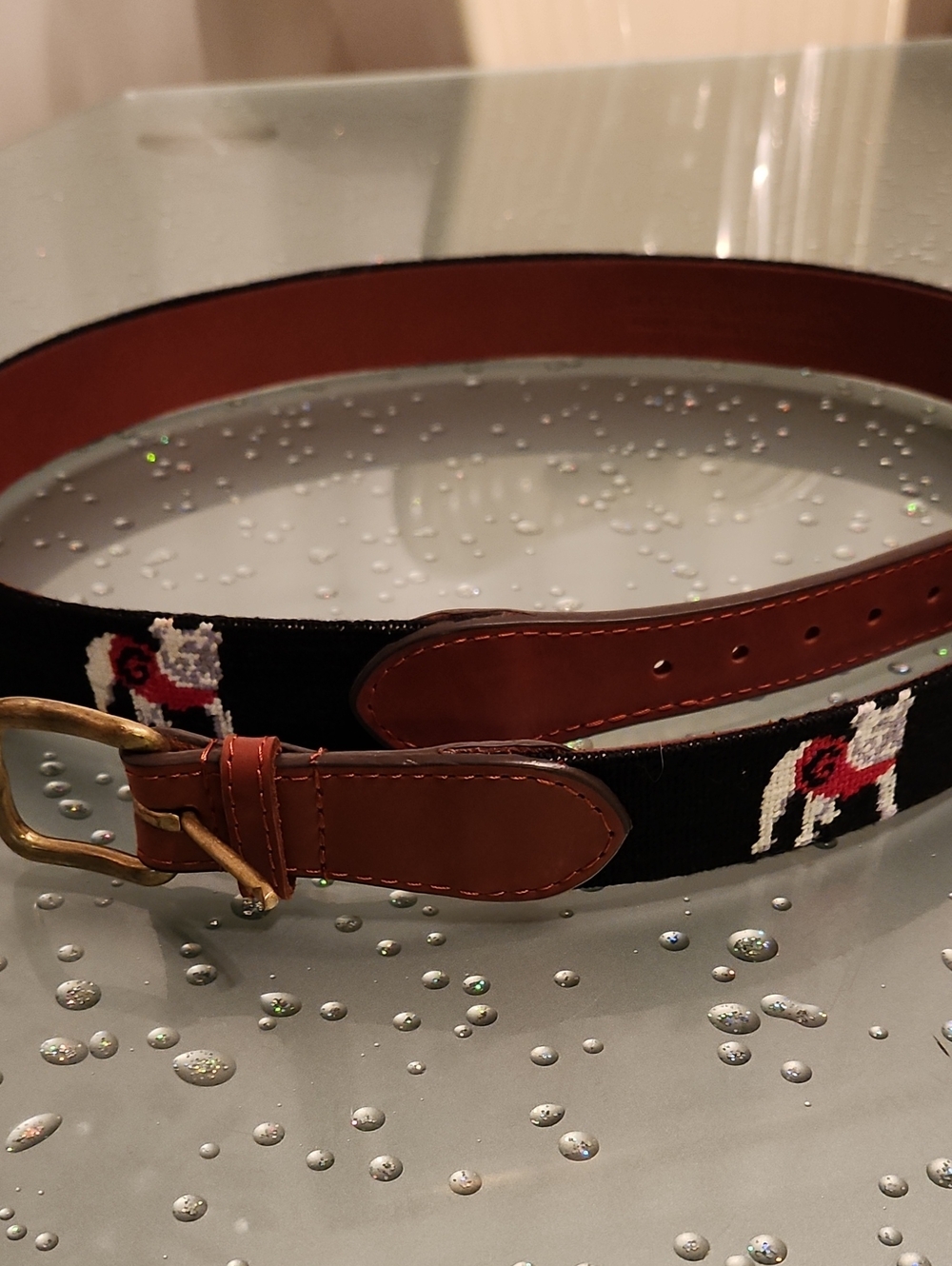 UGA Bulldog Mascot Web Belt with Leather Trim